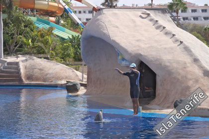 Аквапарк Аквалэнд: Дельфинарий