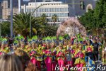 carnival_in_santa-cruz-de-tenerife_2019_16.jpg