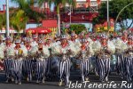 carnival_in_santa-cruz-de-tenerife_2019_20.jpg