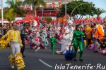 carnival_in_santa-cruz-de-tenerife_2019_23.jpg