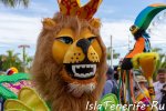 carnival_in_santa-cruz-de-tenerife_2019_27.jpg