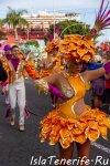 carnival_in_santa-cruz-de-tenerife_2019_29.jpg