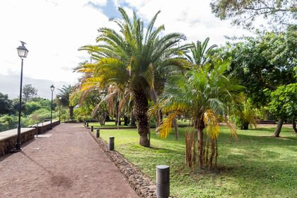 Парк Таоро в Пуэрто-де-Ла-Крус
