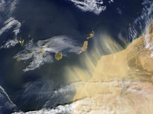 Климат: Калима на Тенерифе